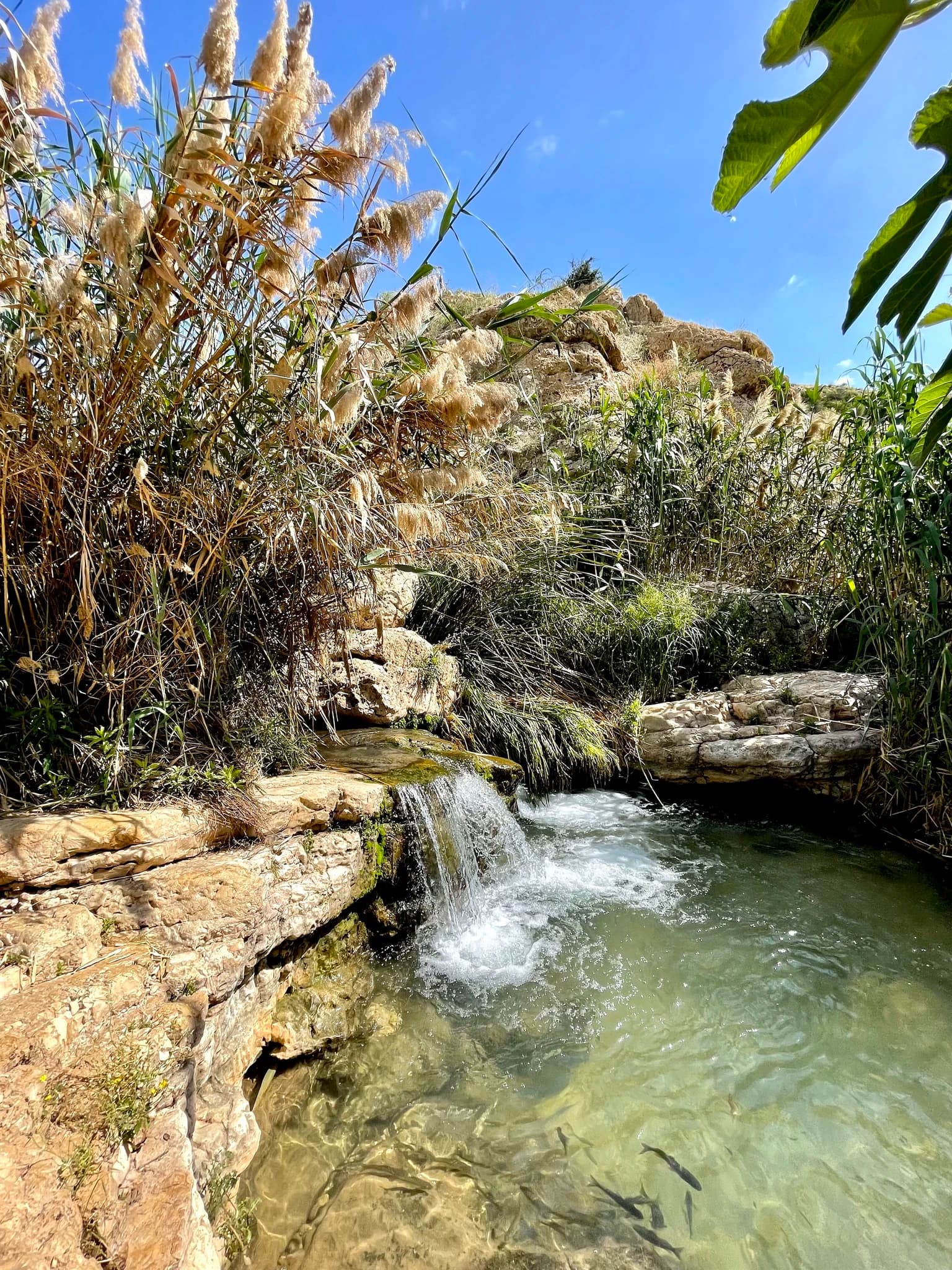 Ein Prat Nature Reserve in Israel. Water nature pool